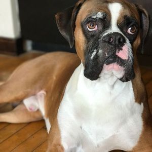 Meet your Posher, Erin